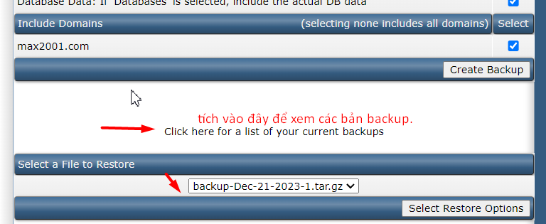 Bản backup được hiển thị